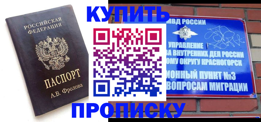 прописка поиск в Бородино